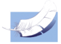 Obrázek SENI V maxi vložky pro inkontinenci stolice 30 ks (6)